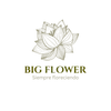 bigflower - Home